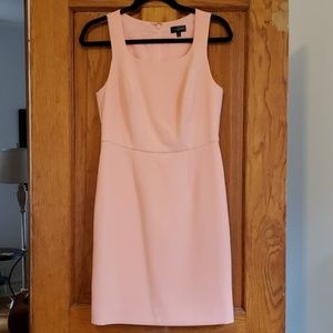 Pale Pink Sheath Dress